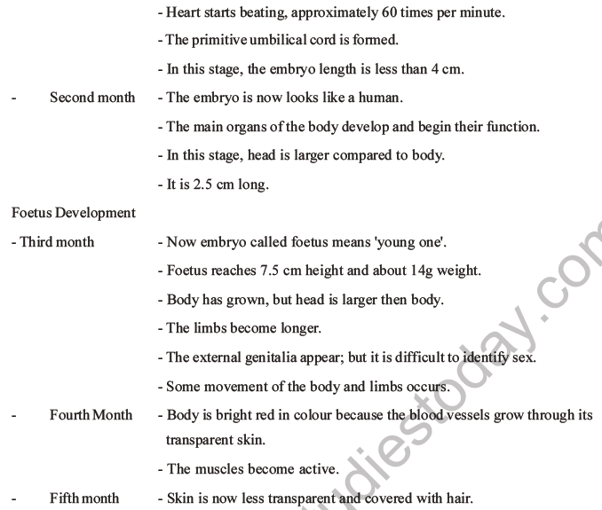 NEET Biology Human Reproduction MCQs Set A, Multiple Choice Questions